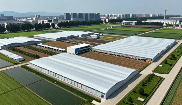 技术服务在复杂应用场景中的性能表现与适用条件分析